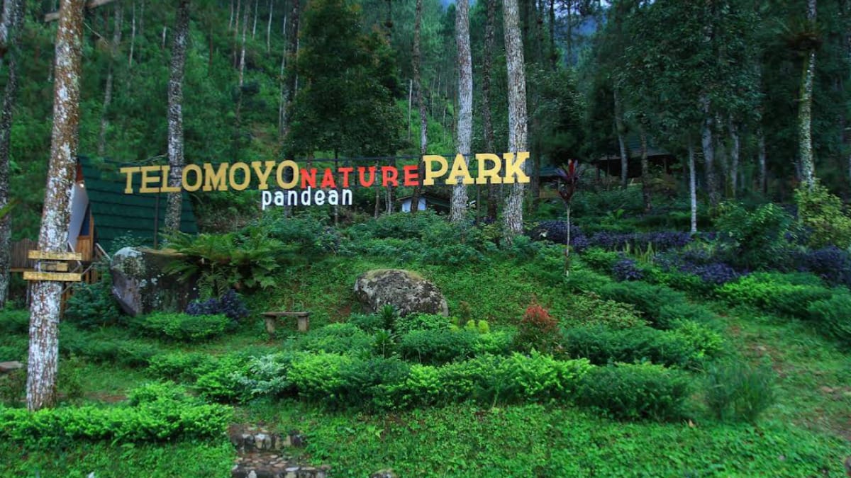 Telomoyo Nature Park: Menjelajahi Keindahan Alam di Lereng Merapi